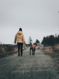 walking the dog exercise benefits